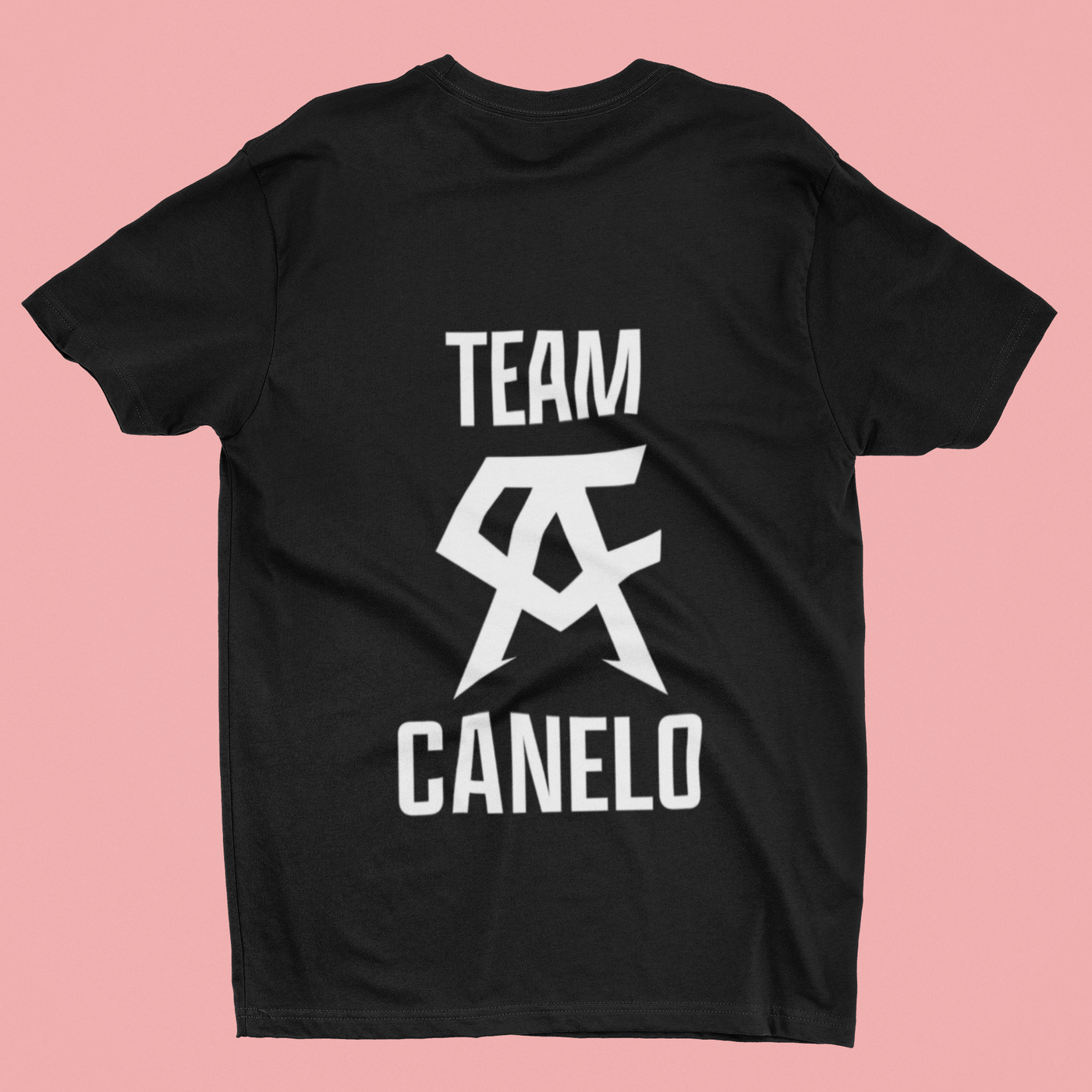 TEAM Canelo Alvarez Box DTF ready to press transfer