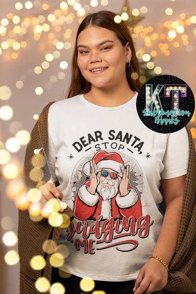 Dear Santa Stop DTF T-shirt - Funny Xmas Tees