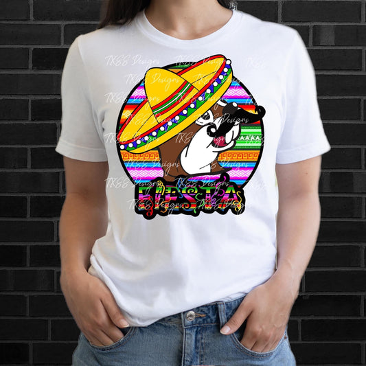 Cinco de Mayo Baseball DTF ready to press transfer - KT SUBLIMATION, DTF AND MORE LLC